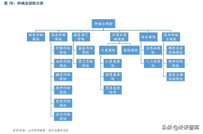 車險最新費率解析與觀點論述