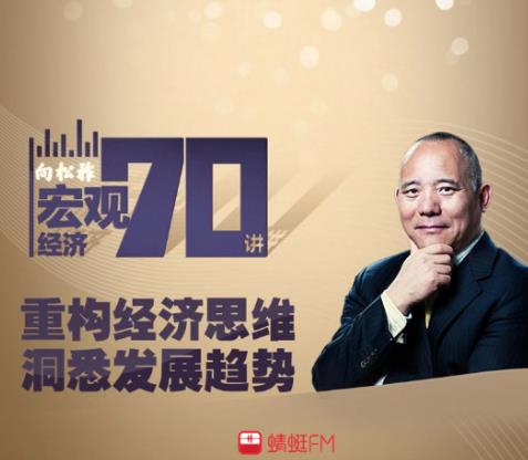 向松祚最新演講解析，學(xué)習(xí)其演講技巧與思想的啟示