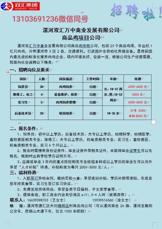 漯河鞋廠最新招聘信息匯總