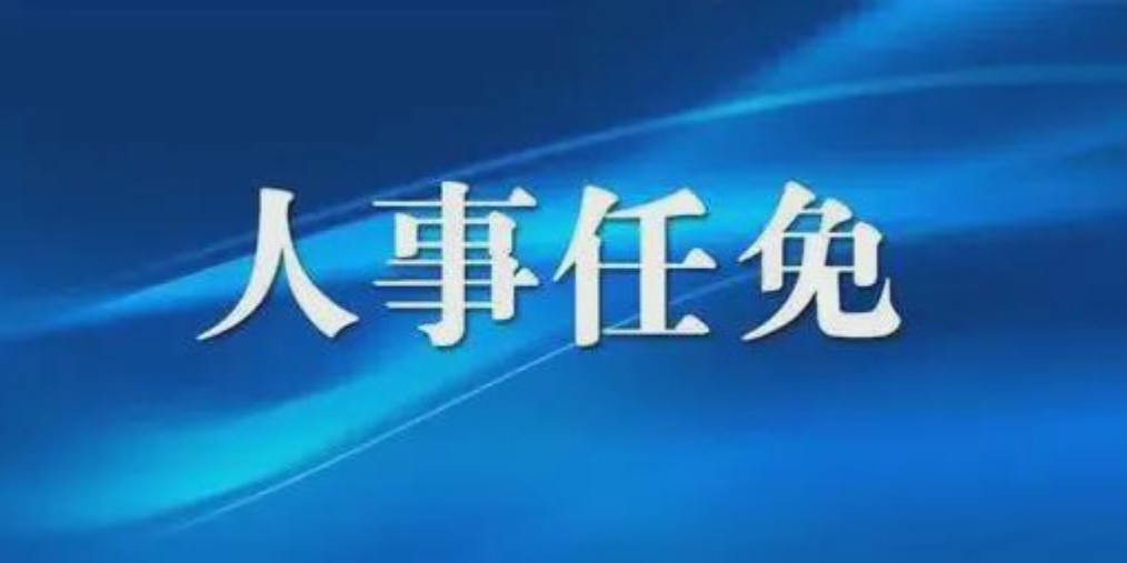 成都人事任免背后的故事，小巷獨(dú)特風(fēng)味小店與城市的脈動(dòng)