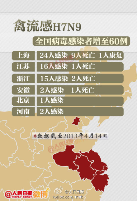 山東禽流感最新動態(tài)，友情與陪伴的溫馨故事