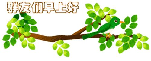 最新清晨祝福短信，晨曦中的溫暖問候，傳遞美好祝愿與關(guān)懷