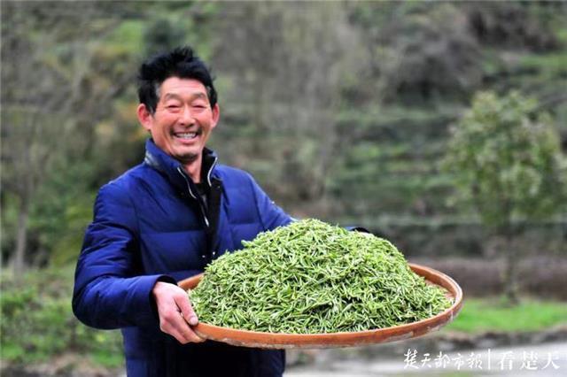 最新夷陵新聞，探索自然美景的旅程，尋覓內(nèi)心平和之地