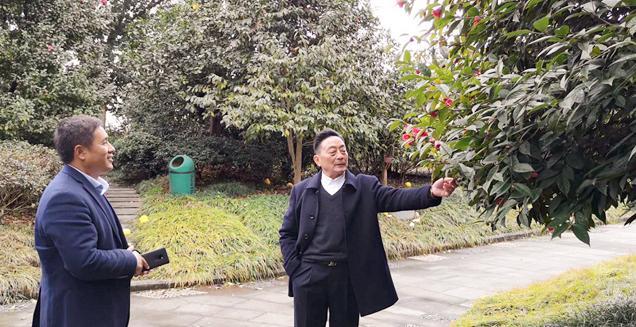 最新花木求購(gòu)，開(kāi)啟一場(chǎng)尋綠之旅的溫馨旅程