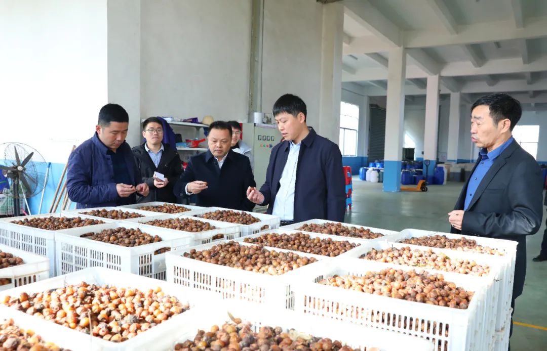 建寧最新新聞，城市溫馨日常與友情力量的展現(xiàn)
