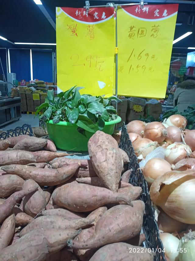 最新地瓜價(jià)格解析，查詢(xún)指南與任務(wù)攻略