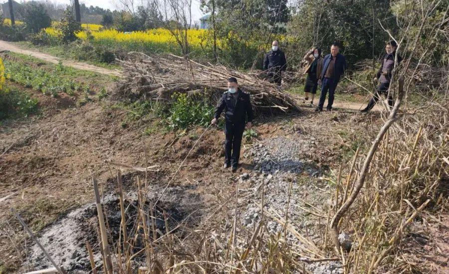 溧陽(yáng)最新天氣，氣象變遷與地域影響探究