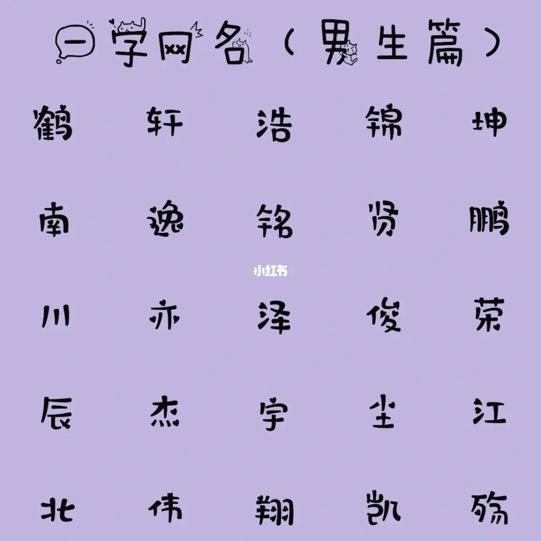 最新男生網(wǎng)名，時代潮流與虛擬身份的完美融合塑造