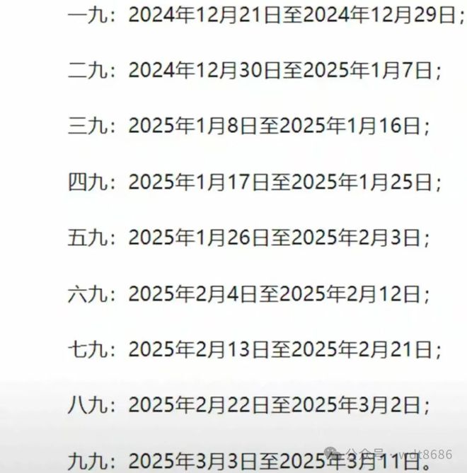 最新久久網(wǎng)2025，友情小船與溫馨日常的交織