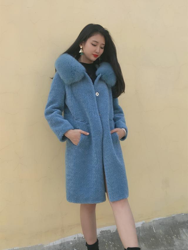 三七花最新價格揭秘，溫馨小故事中的尋找之旅
