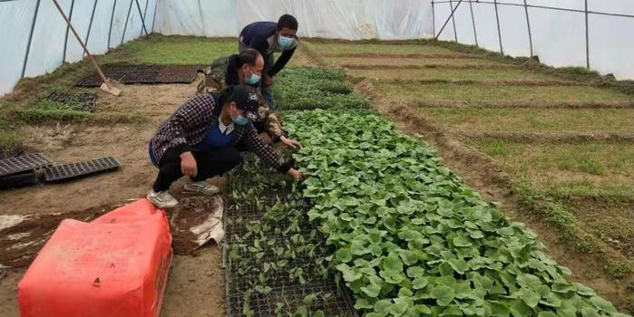 策勒最新招聘啟航人才新篇章，學(xué)習(xí)變化，擁抱自信與成就，啟程人生新征程！