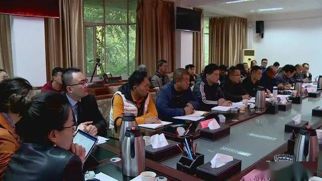 德昌最新新聞，擁抱自然，心靈寧靜之旅啟程