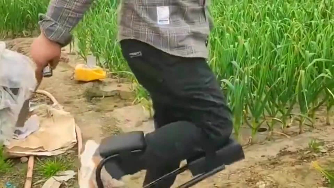 最新挖蒜工具，心靈與自然的完美交融