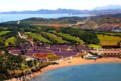 心悅海島探險攻略，最新任務指南與探險體驗