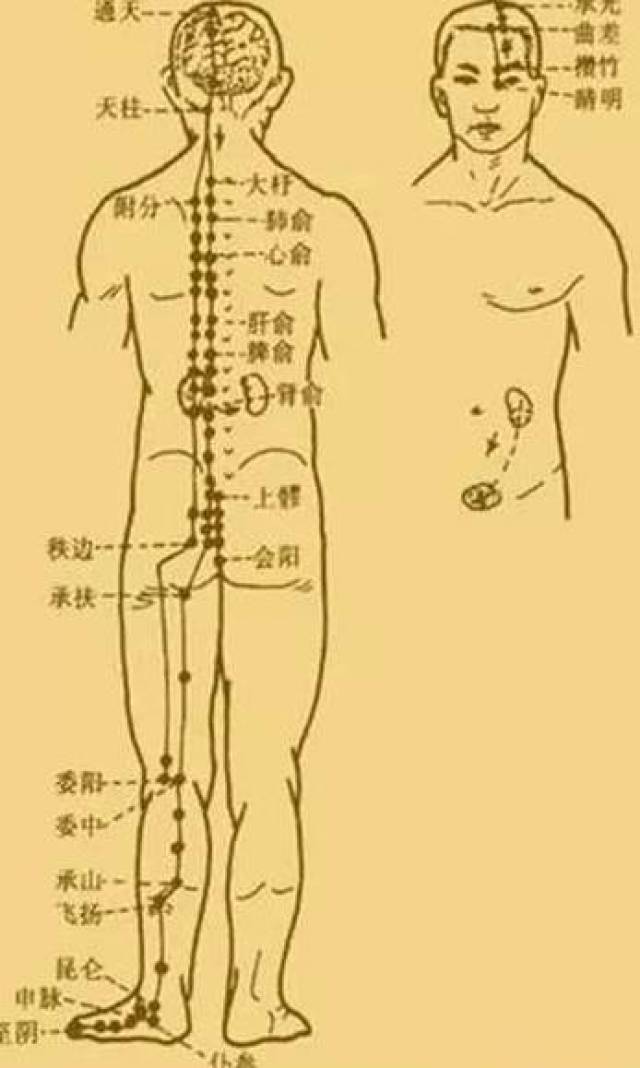 最新經(jīng)絡(luò)操，探索古老奧秘，重塑健康身姿