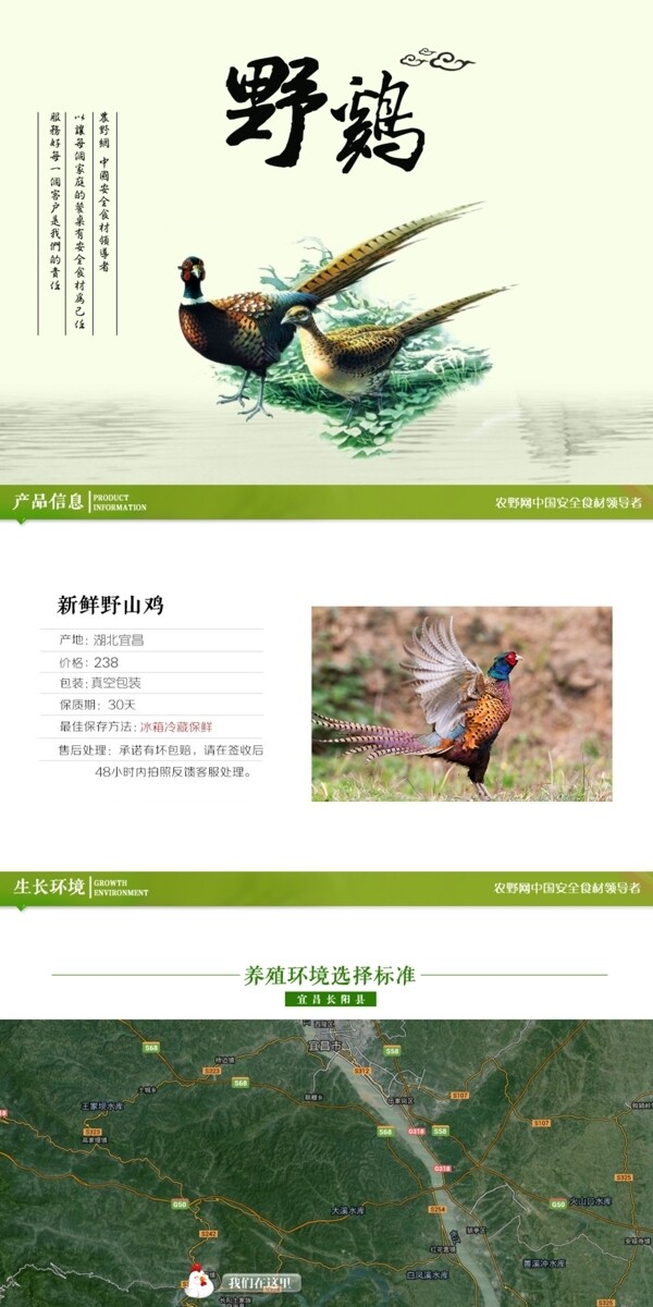 深度剖析，最新山雞的背景、事件與地位概述