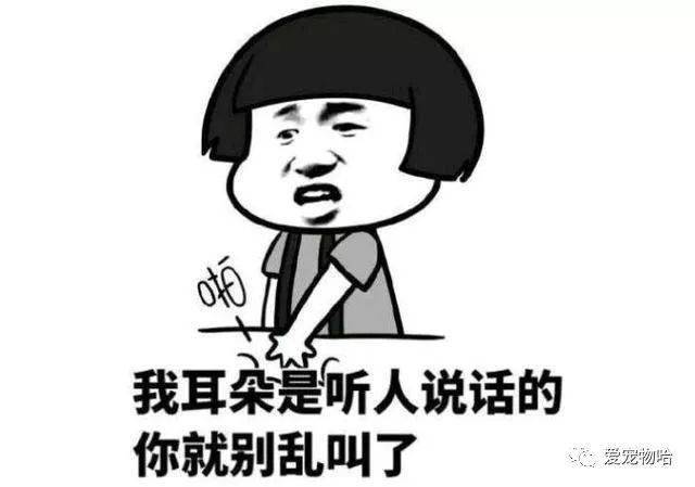 最新枕邊笑話，科技小寶貝，生活添樂趣