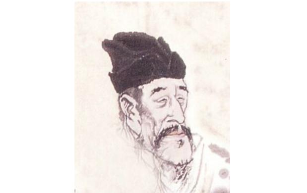 最新孤雁圖片，展現(xiàn)自然之美與深意的瞬間