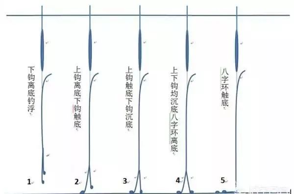 揭秘最新調(diào)漂技巧，輕松釣獲大魚秘籍！