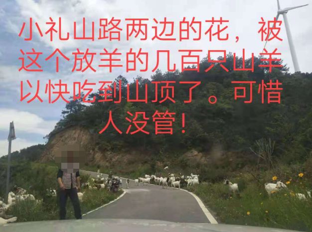 大悟最新路，探索未知，自信成就夢(mèng)想之旅的啟程