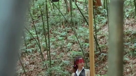 原野小年最新風情，小巷深處的獨特魅力