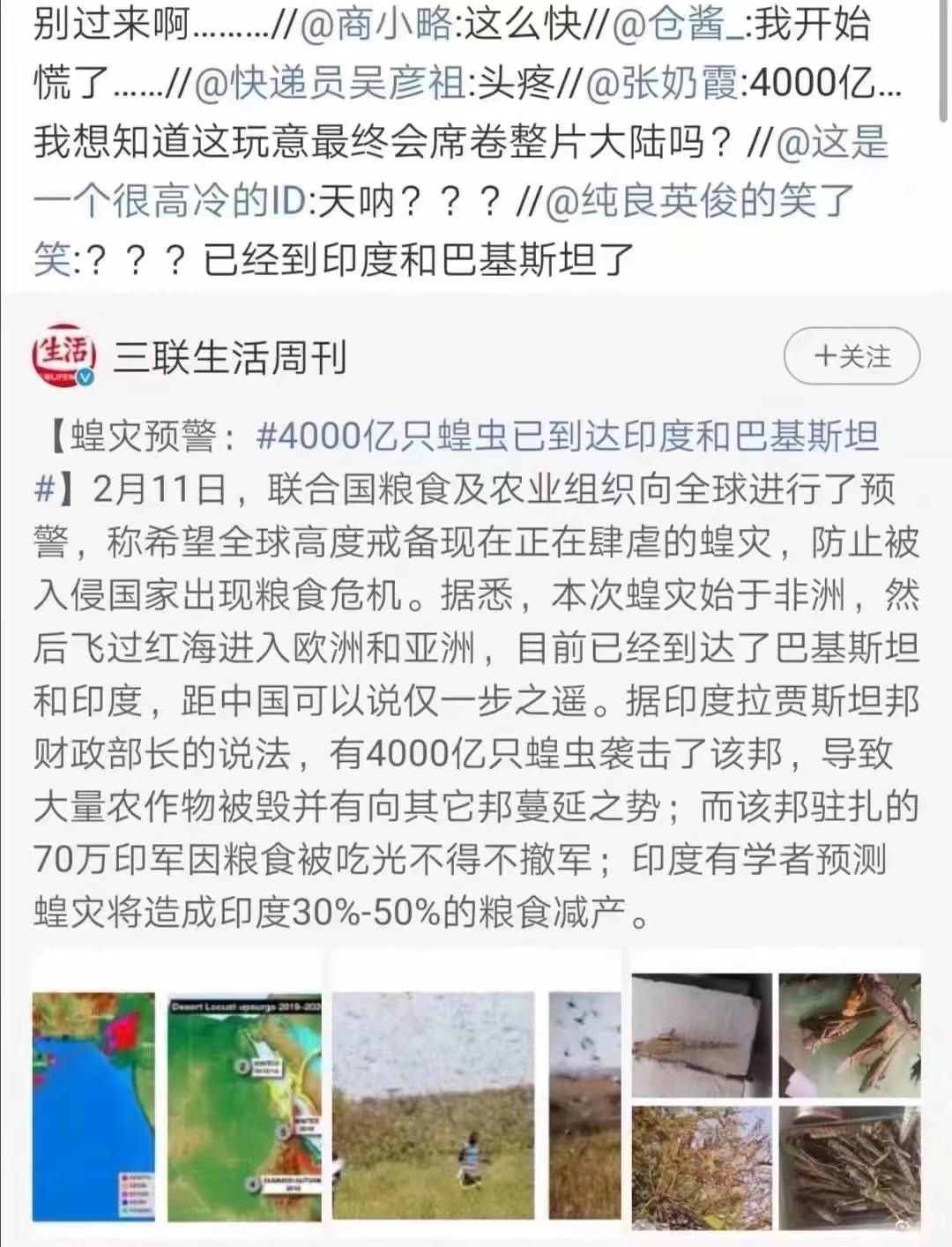 蝗蟲(chóng)最新動(dòng)態(tài)，防治與監(jiān)測(cè)的全面指南