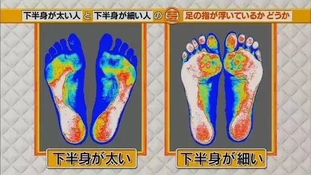 最新地趾論述，探索、爭議與觀點綜述