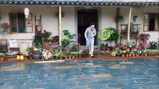 最新蘑菇屋，自然與生活完美融合的夢幻之地