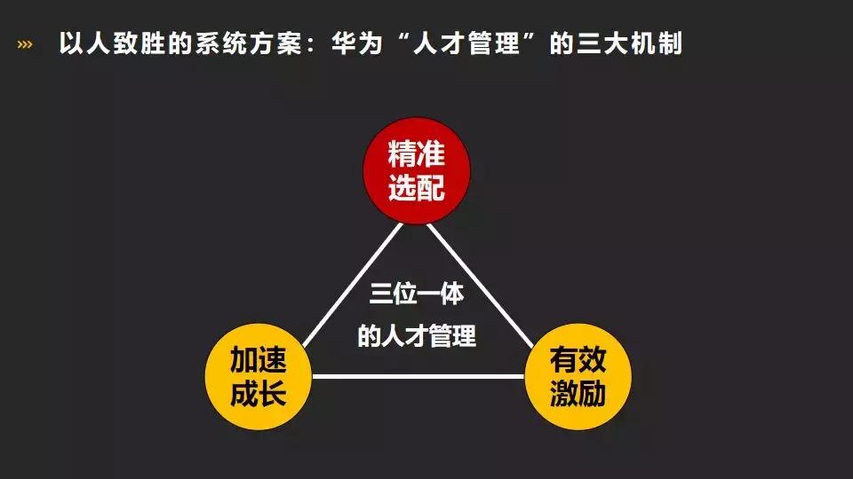華為最新書籍探索，小巷中的書香寶藏