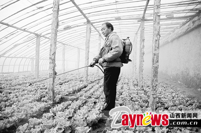 最新農藥抽檢結果出爐，守護農田安全，你我他的共同責任