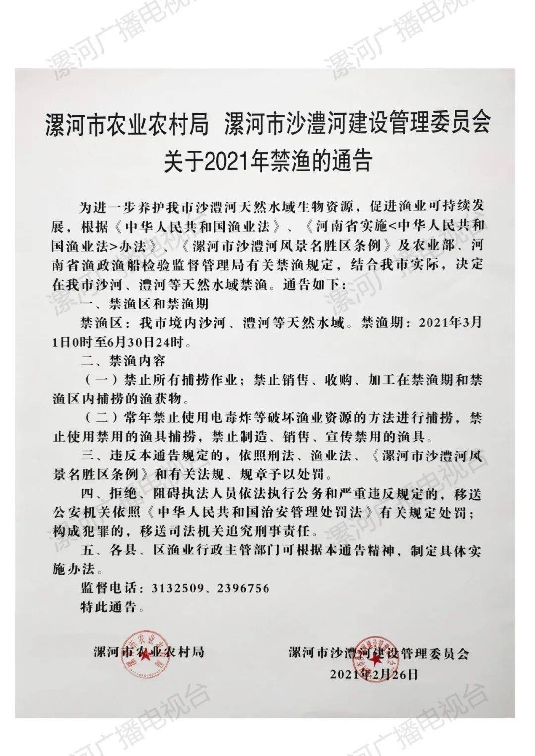 漯河最新通告，探索自然美景，尋覓內(nèi)心寧靜與平和之旅