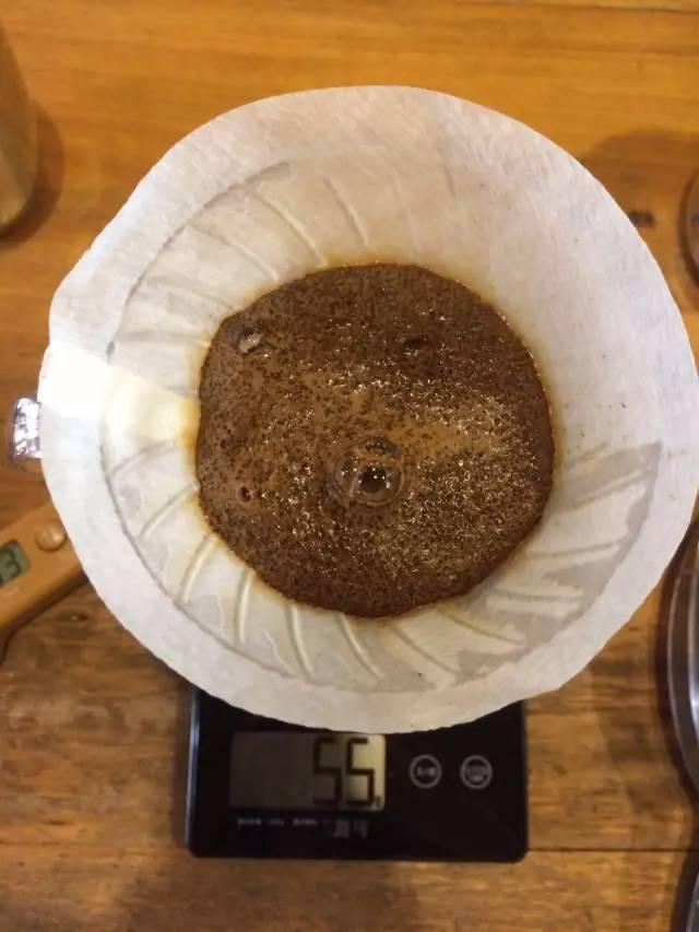 最新萃取法詳解，步驟指南與操作技巧