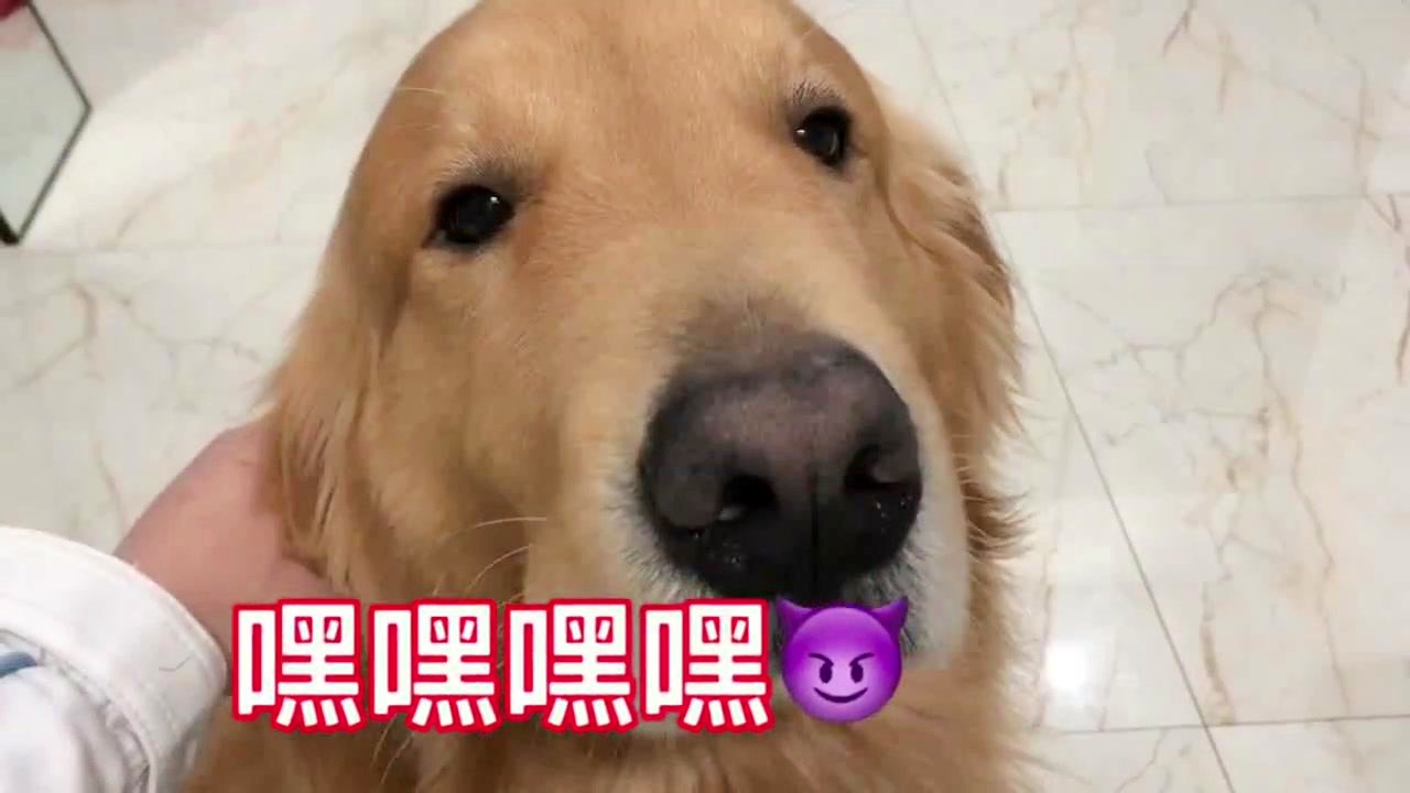 工程廠房燈具 第21頁