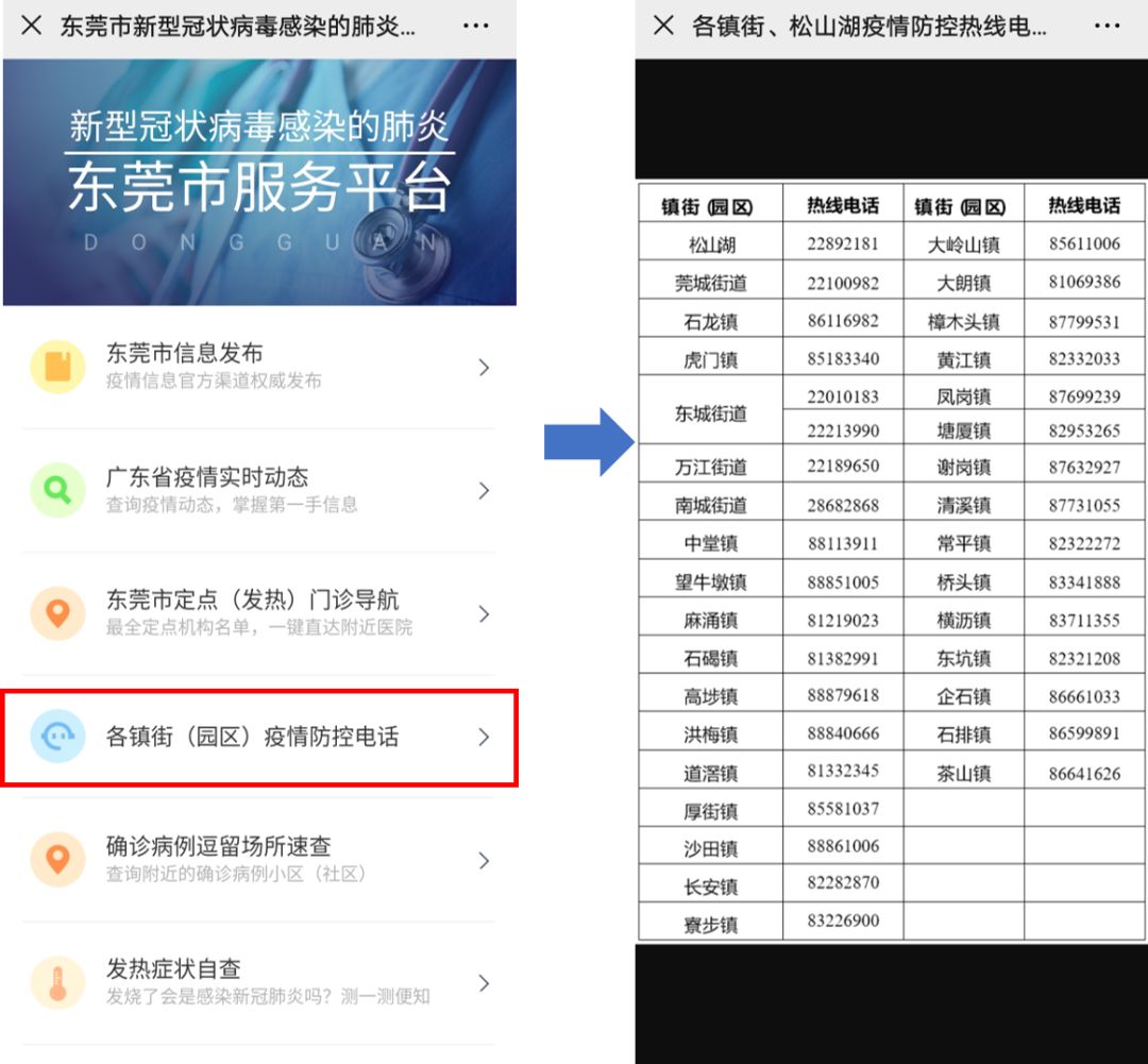 東莞最新疫情狀況，逆風(fēng)翱翔，用知識守護(hù)夢想健康