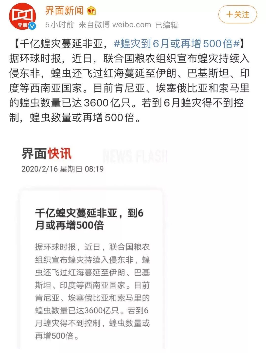 世界蝗災(zāi)最新動態(tài)，探索自然美景的輕松之旅