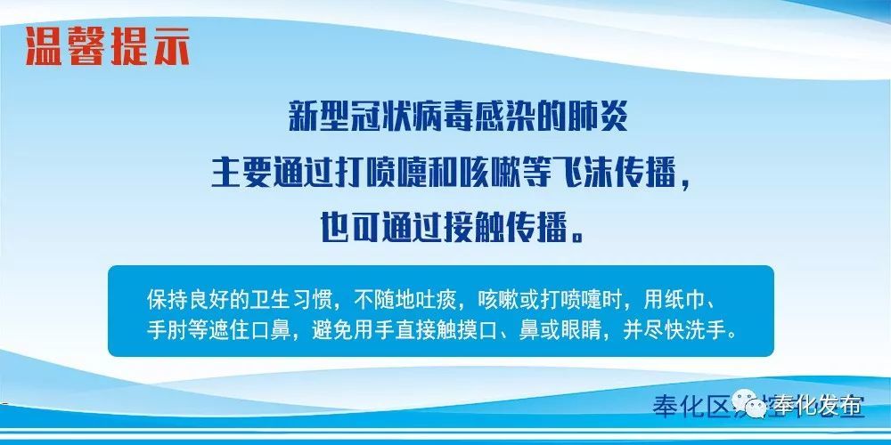 余姚最新確診背后的自然探索之旅，重拾心靈寧靜與平和