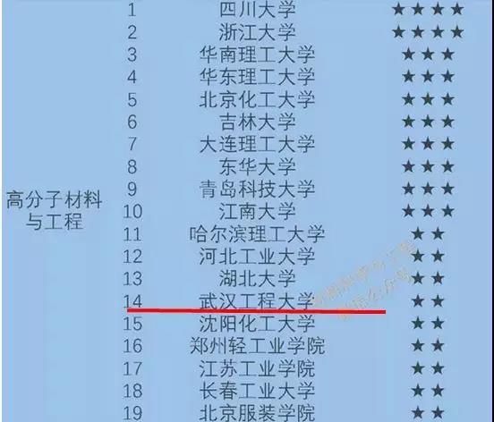 湖北最新輿情，巷弄深處的隱藏美食天堂探索
