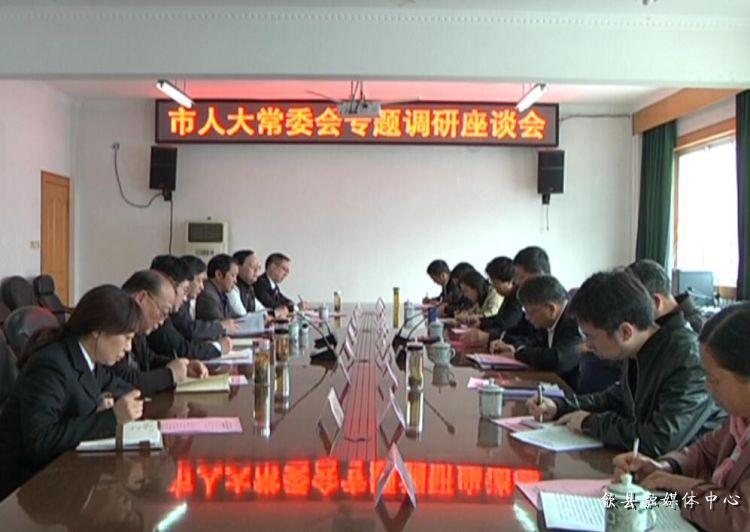 安徽歙縣最新動(dòng)態(tài)，小巷深處的驚喜