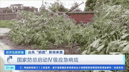 超強(qiáng)臺(tái)風(fēng)鸚鵡來襲，最新路徑動(dòng)態(tài)全解析???