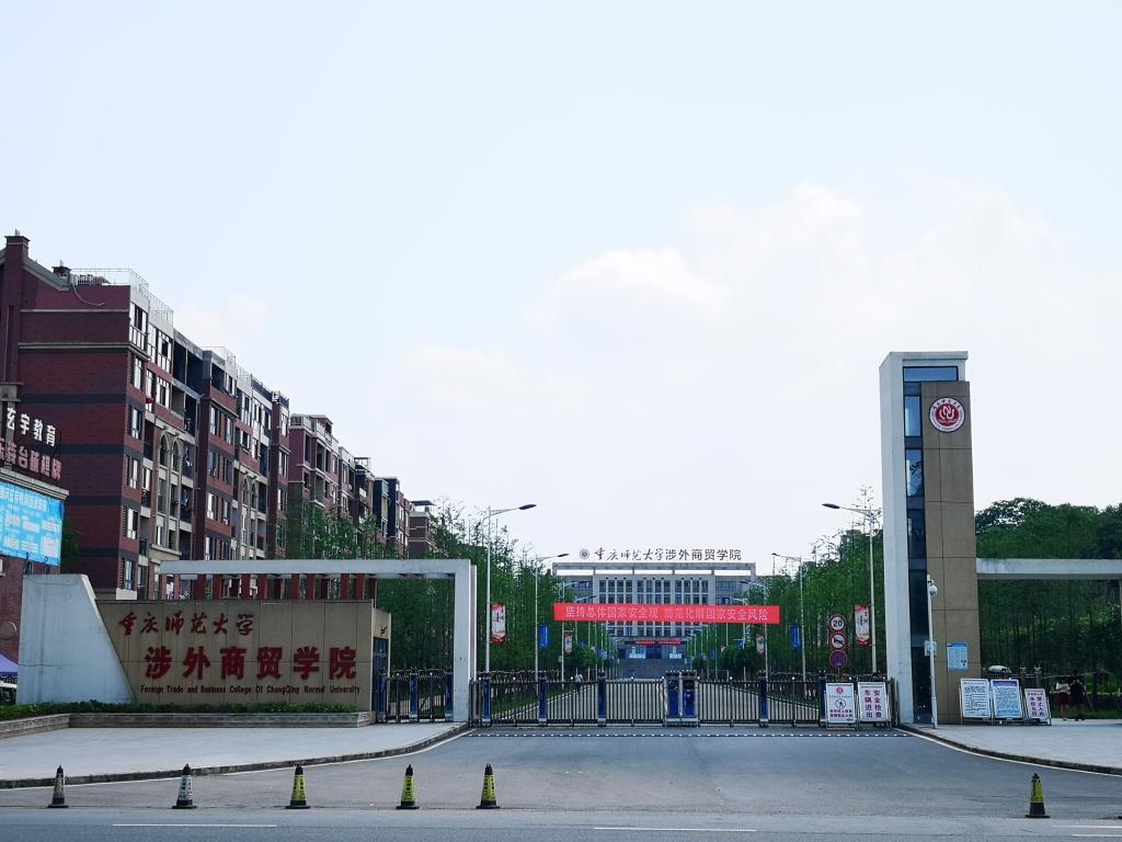 最新本科專業(yè)探秘，小巷中的隱藏寶藏之門